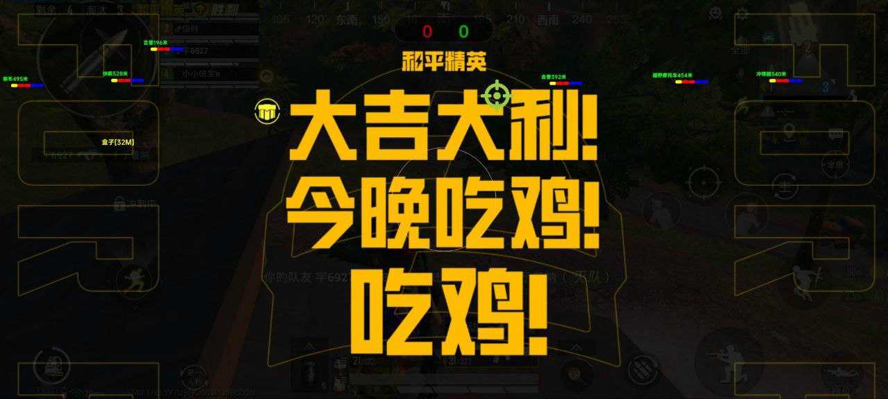 和平精英霸王茶姬辅助
